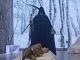 IMG-20250330-WA0049