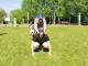 IMG-20250601-WA0079