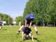 IMG-20250601-WA0072