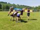 IMG-20250601-WA0068