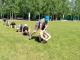 IMG-20250601-WA0077